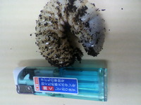 今年の事業計画 2012/04/05 07:54:38