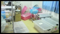 環境整備ってか 2012/06/11 16:30:36