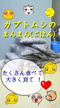 ご無沙汰 2012/09/05 19:28:48