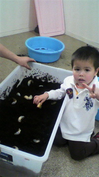 昨日は・・・ 2012/02/06 09:34:33