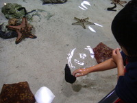 ちゅら海水族館