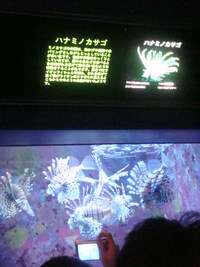 ちゅら海水族館