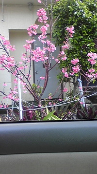 ﾀｲﾔの空気圧と燃費の関係 2010/02/10 13:59:33