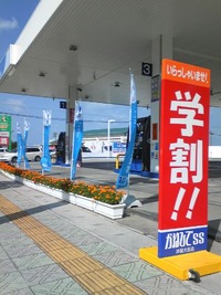 優しい陽射しに照らされて