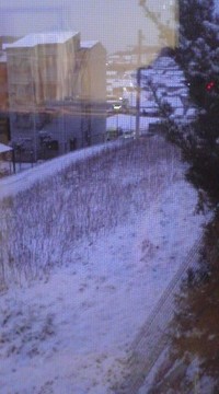 雪 2011/01/31 07:07:05