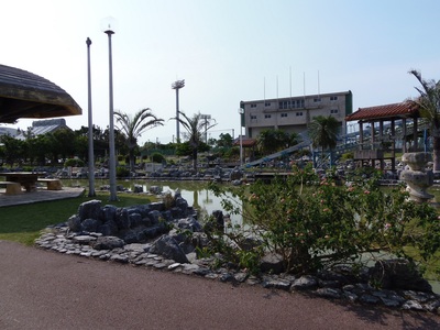 時々糸満親水公園に散歩傍ら行きます
