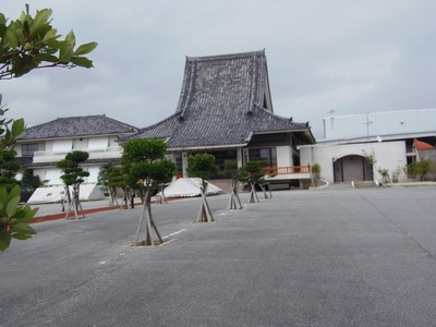 時々西崎埋立地に散歩し何があるか見ています