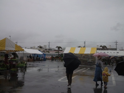 全国豊かな海づくり大会に行ってきました。