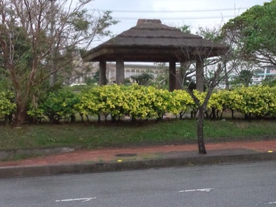 社会見学に名護の東江に行ってきました