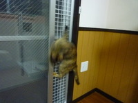 こま子の　母のたわごと。 2011/10/01 21:33:54