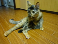 こま子と　おかあさん。 2011/11/08 22:12:26