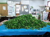 手作り酵素体験 2010/09/19 23:13:24