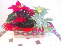 クラフト☆小物入れ☆　納品 2011/11/28 21:19:43
