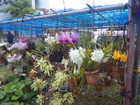 安らかに。。。 2012/04/05 10:34:54