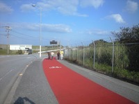 与那国馬 2010/11/02 15:48:39