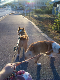 今日も行く～♪