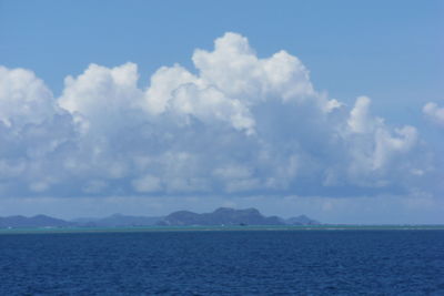 海