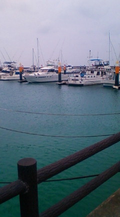 海