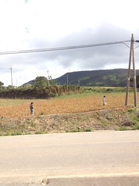 サムーーー 2012/02/17 20:17:41