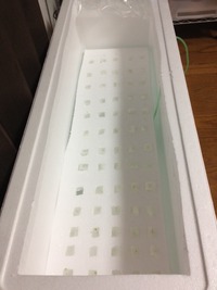 水耕栽培 2012/04/13 00:03:02