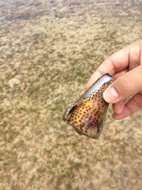 海♪ 2012/05/10 21:46:19