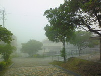 今日のお天気 2009/05/12 08:46:19
