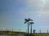 梅雨明け 2009/06/29 09:47:47
