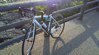 運動してますか？ 2010/03/29 11:58:38