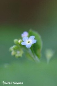はじめまして 2011/09/13 21:42:51