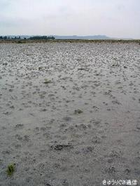 2012年2月　干潮の泡瀬干潟 2012/03/20 18:36:34