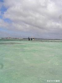 泡瀬　ウミエラの海と浚渫 2012/11/29 22:39:23