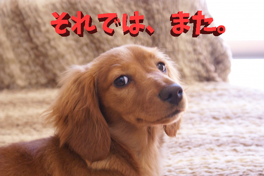 楽天ペイの運用状況報告！（業者かっ！）