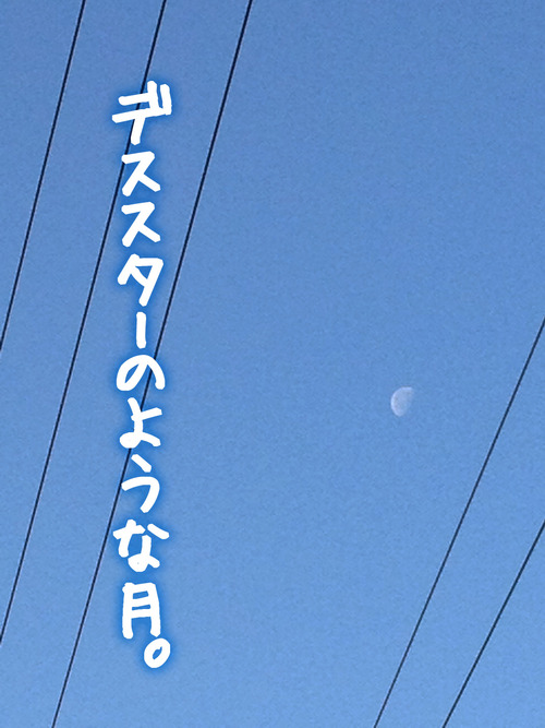 【土曜日】今朝見つけた月はまるでデススターのような存在感を持っていた・・・報告