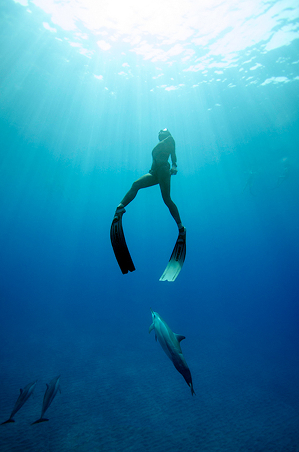 もはや海に見えないくらいに超現実的な海中写真