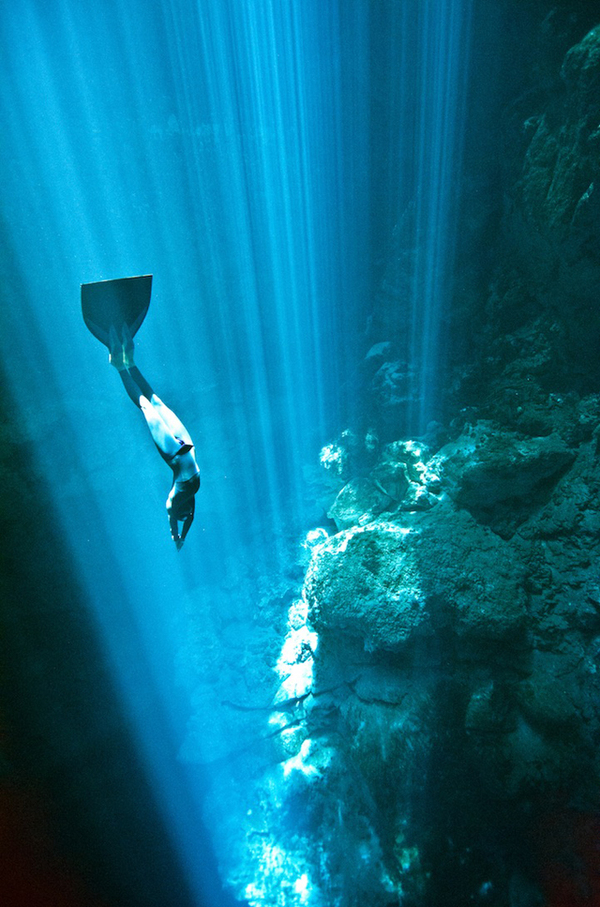 もはや海に見えないくらいに超現実的な海中写真