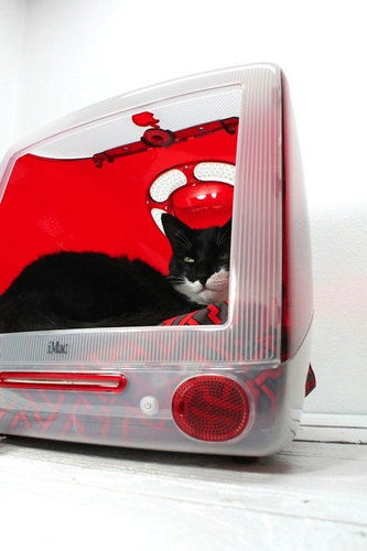 Macで上手にペットを飼う方法。案外アートチックで気分上々。