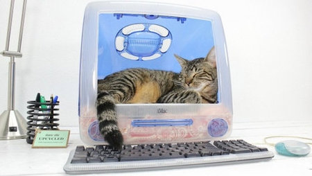 Macで上手にペットを飼う方法。案外アートチックで気分上々。