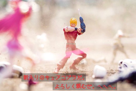 いろんなフィギュアを本気出して撮影シリーズが良かった。