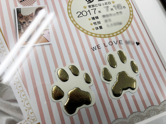 赤ちゃんの手足形記念額と同じ感じでペット用もあるよ！にくきゅうフレーム！