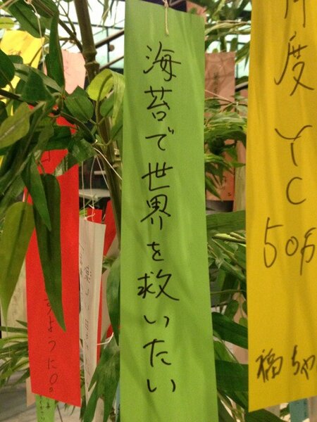 お星さま！どーかお願いします！みんなの願いを叶えてくだちゃい！（爆笑短冊5連発）