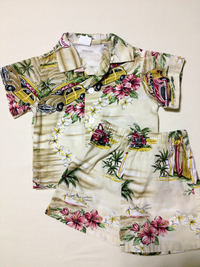 HAWAIIAN 2013/04/17 10:51:34
