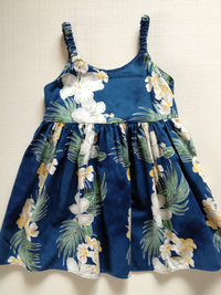 HAWAIIAN 2013/03/20 10:34:09