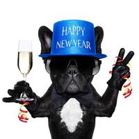 A Happy New Year! 2018/01/08 18:44:48