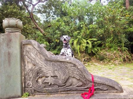 今年　初　浦添大公園散歩