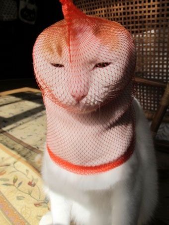 コミュニケーションデザイン課題の件で思うこと・・・