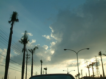 test1031