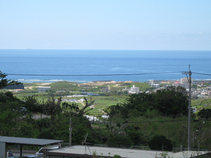 沖縄らしい風景を見つけた！