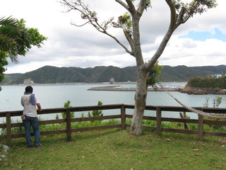 カナンファームに行ってきました。（東村）塩パイン。