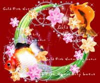 金魚家族 2011/08/22 11:19:28