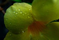 ボーッ・・・。 2011/07/26 12:12:46